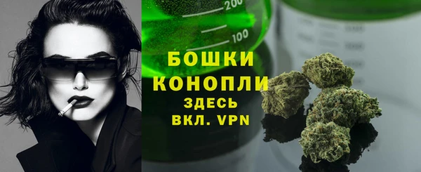 сатива Снежинск