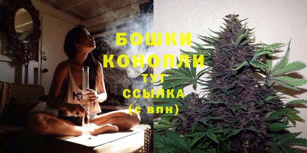 стафф Семёнов