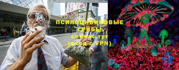 MDMA Снежногорск