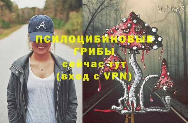 mdpv Балахна
