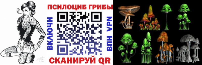 Псилоцибиновые грибы Psilocybe  omg сайт  Кувандык 