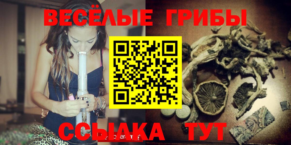 закладка  Галлюциногенные грибы MAGIC MUSHROOMS  Кувандык  Вход с VPN  Псилоцибиновые грибы Cubensis 