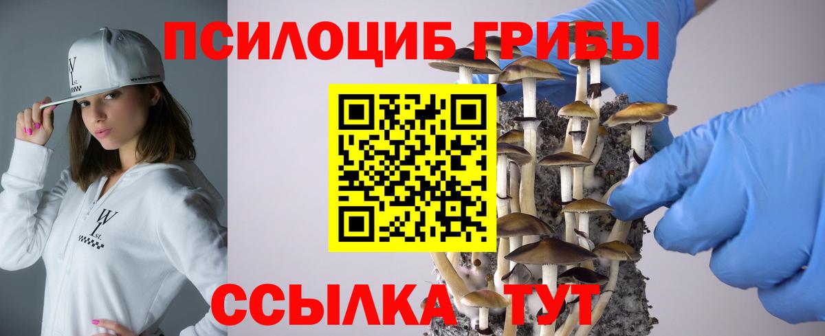 Псилоцибиновые грибы ЛСД Кувандык